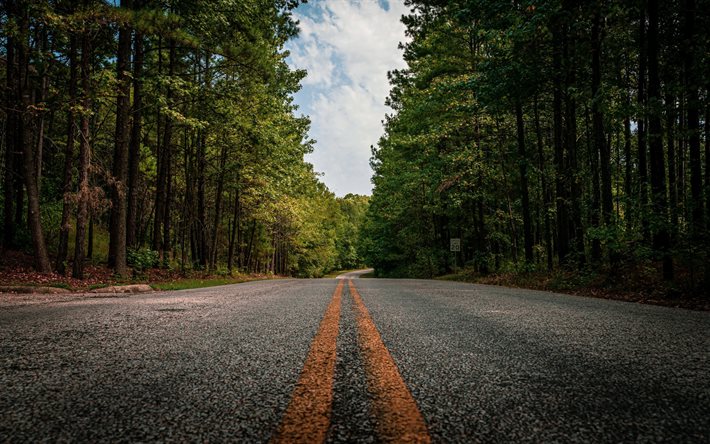 strada negli Stati Uniti, strada asfaltata, autostrada, Stati Uniti d&#39;America, strada nella foresta, alberi verdi