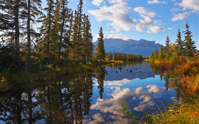 El Parque Nacional Jasper, oto&#241;o, lago, bosque, Canad&#225;