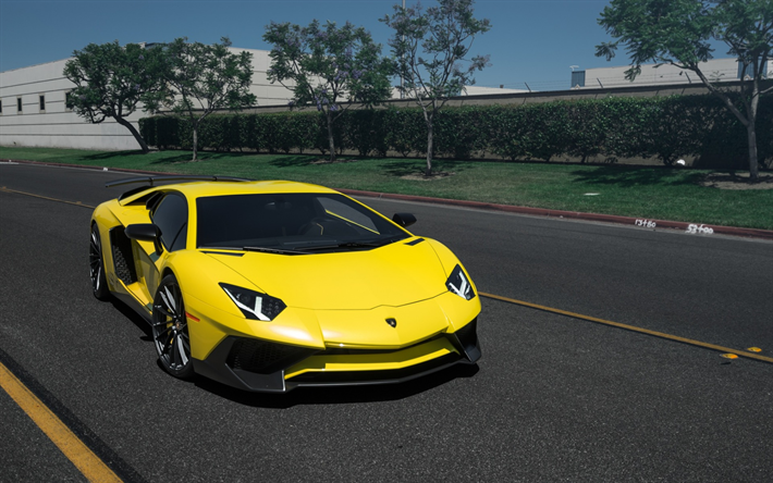 Lamborghini Aventador, en 2017, de voiture de sport, jaune Aventador, tuning Aventador, italien voitures, Rotiform DVO, Lamborghini