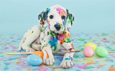 little Dalmatian, white puppy, paint, cute animals, artist, pets, dogs, Dalmatian