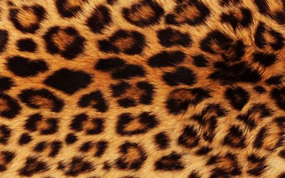 cheetah lana texture, pelle di animale, lana, trama, cheetah sfondo