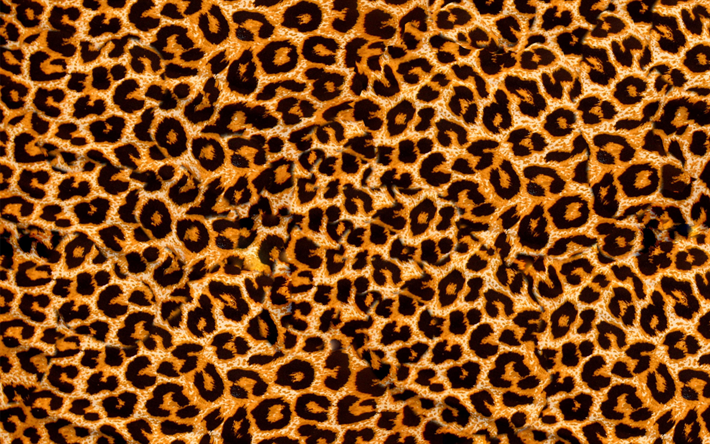 giraffa texture, close-up, la giraffa e la texture della pelle, macchie marrone texture, macro, giraffa pelle, giraffa sfondo, zebra di lana, la giraffa sfondo in pelle
