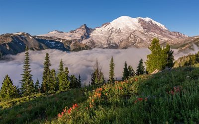 Mount Rainier National Park, 4k, clouds, mountains, summer, Pearce County, USA, Washington, beautiful nature, America