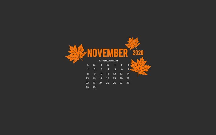 Calendrier 2020 Novembre, style minimalisme, fond gris, automne, calendriers 2020, Calendrier Gris 2020 Novembre, art cr&#233;atif