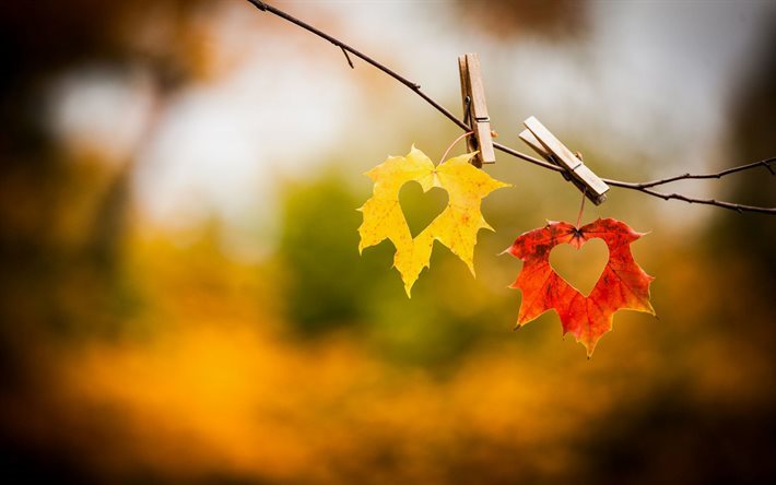 autumn leaves, hearts, love, fall, two hearts