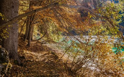 山湖, アルプス, イタリア, 秋, 森林, 秋の景観