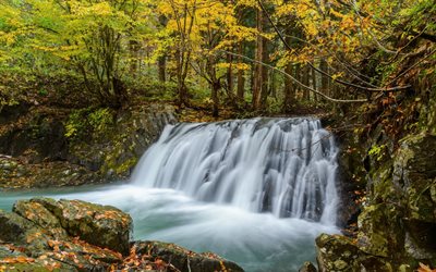 waterfall, autumn, forest, river, yellow leaves, autumn landscape