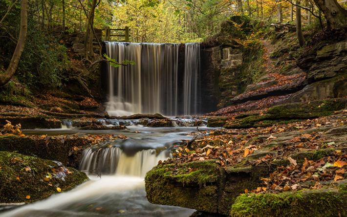 autumn, waterfall, river, autumn forest, fallen yellow leaves, Wrexham, Plas Power Woods, Wales