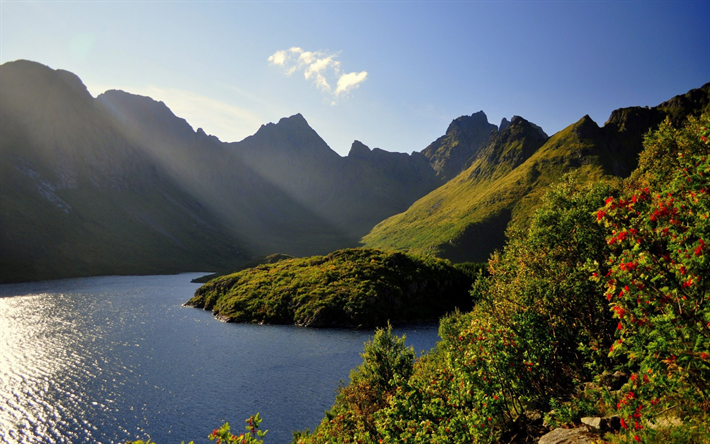 montagna, lago, mattina, paesaggio, foresta, cielo blu, Norvegia