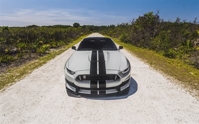 Ford Mustang, Shelby GT350, 2018, front view, gray Mustang, sports coupe, tuning, American sports cars, Ford