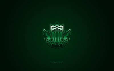 Matsumoto Yamaga FC, Japon Futbol Kul&#252;b&#252;, J1 Lig, yeşil logo, yeşil karbon fiber arka plan, futbol, Matsumoto, Japonya, Matsumoto Yamaga logo, Japonya Profesyonel Futbol Ligi