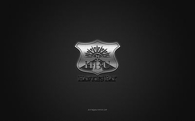 Hawkes Bay United FC, New Zealand football club, silver logo, gray carbon fiber background, New Zealand National League, football, Napier, New Zealand, Hawkes Bay United FC logo