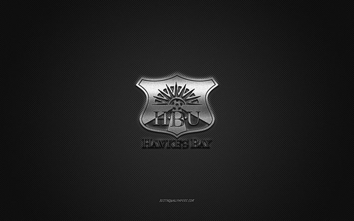Hawkes Bay United FC, New Zealand football club, silver logo, gray carbon fiber background, New Zealand National League, football, Napier, New Zealand, Hawkes Bay United FC logo