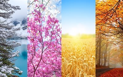 quatre saisons, les saisons, hiver, printemps, automne, &#233;t&#233;, 4K
