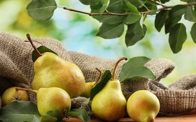 pears, fruit, ripe pear
