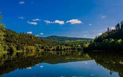 Albshtau lake forest, summer, Baden-Wurttemberg, Allemagne