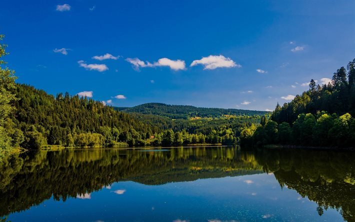 Albshtau lake, forest, summer, Baden-Wurttemberg, Germany