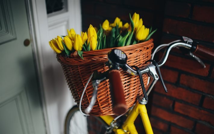 bicicleta, tulipanes, flores amarillas, tulipanes amarillos