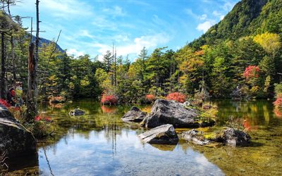 Japan, forest, autumn, lake, mountains