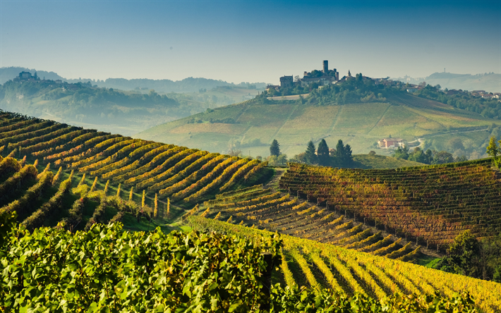 Toscana, 4k, ving&#229;rdar, jordbruk, Italien, Europa