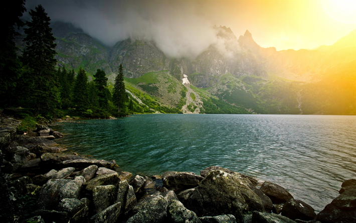 mountain lake, dimma, bergssluttningar, skogen, glaci&#228;ren, bergslandskapet