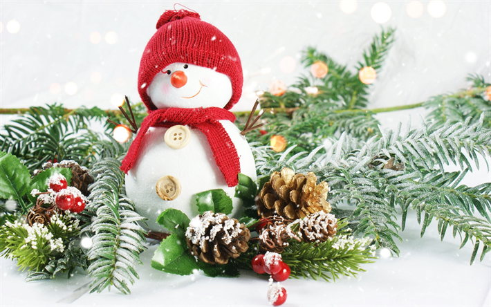 kardan adam, Noel, Yeni Yıl, kar, Noel dekorasyon, koniler