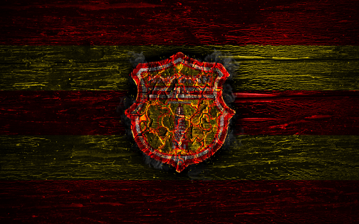 Nam Dinh FC, fire logo, V-League, red and yellow lines, Vietnamese football club, grunge, football, soccer, logo, V League 1, Nam Dinh, wooden texture, Vietnam