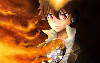 Tsunayoshi Sawada, medallion, Reborn, artwork, Tsuna, manga, protagonist, Katekyo Hitman Reborn