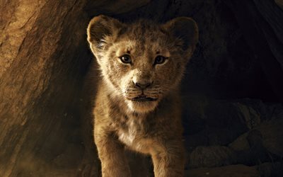 Simba, 4k, Le Roi Lion, affiches, 2019 film, Disney, 2019