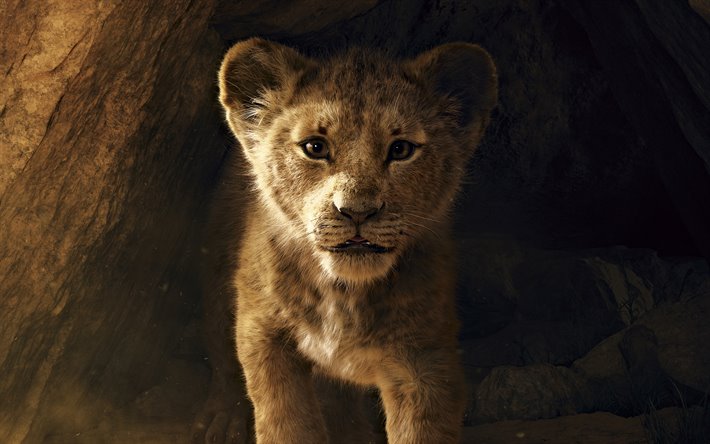 Simba, 4k, Lion King, juliste, 2019 elokuva, Disney, 2019 Lion King