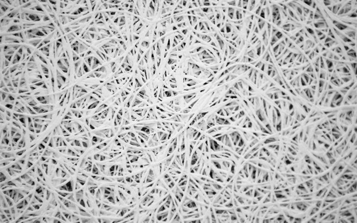 fil de tissage de la texture, de la 4k, macro, textures de fil, fond blanc