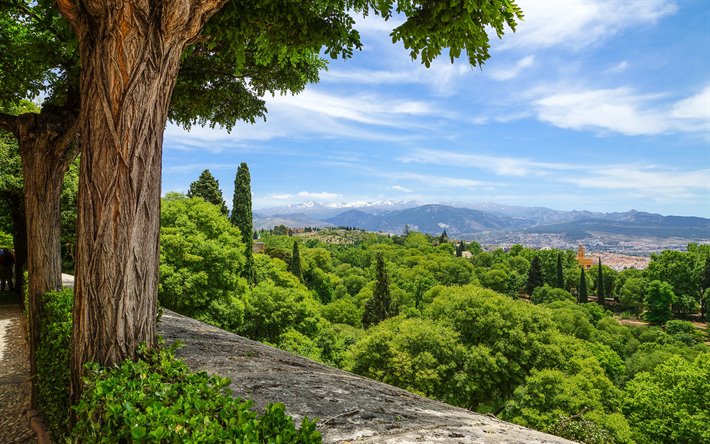 gr&#246;na skogen, bergslandskapet, bl&#229; himmel, berg, Granada, Spanien