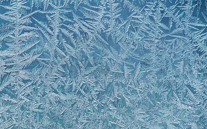 frost pattern texture, ice texture, winter background, winter texture, ice background, frost ornament texture