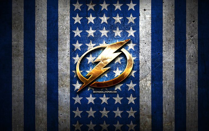 Tampa Bay Yıldırım bayrağı, NHL, mavi beyaz metal arka plan, amerikan hokey takımı, Tampa Bay Lightning logosu, ABD, hokey, altın logo, Tampa Bay Yıldırım