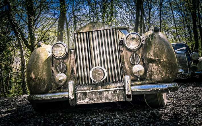Rolls-Royce Wraith abandonn&#233;, 4k, for&#234;t, voitures r&#233;tro, 1957 voitures, HDR, 1957 Rolls-Royce Wraith, voitures britanniques, Rolls-Royce