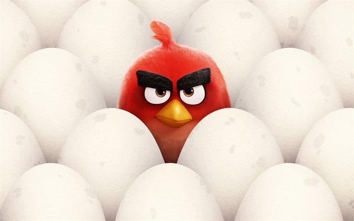 rot, eier, 3d-animation, angry birds