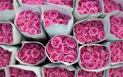 ピンク色のバラ, バラの花束, ピンクの花, バラ