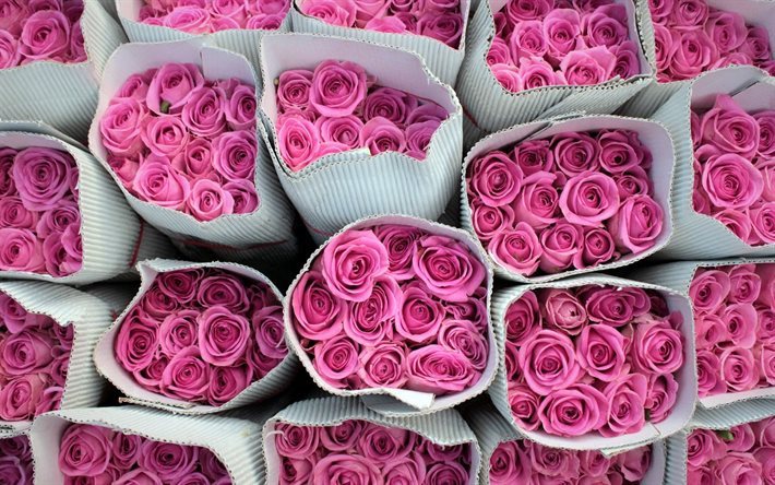 les roses roses, des bouquets de roses, fleurs roses, roses