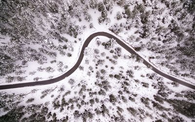 forest, top view, winter, snow, winter forest