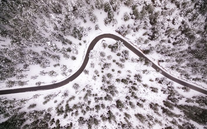 foresta, vista dall&#39;alto, inverno, neve