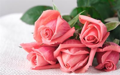ピンク色のバラ, ブーケのバラの花, バラ, rosebuds