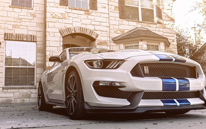 Ford Mustang GT350, supercar, 2018 auto, tuning, Ford Mustang, Ford