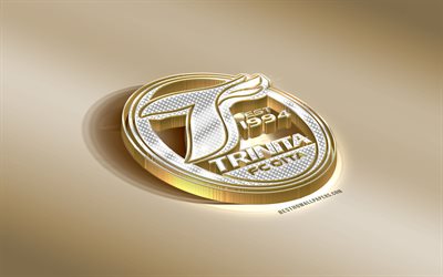 Oita Trinita FC, Japanese football club, golden silver logo, Oita, Japan, J1 League, 3d golden emblem, creative 3d art, football