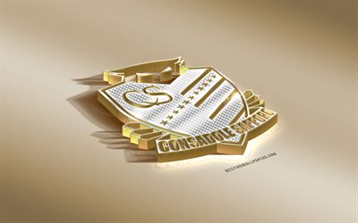 Hokkaido Consadole Sapporo, Japanese football club, golden silver logo, Sapporo, Japan, J1 League, 3d golden emblem, creative 3d art, football