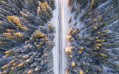 winter, forest, top view, road, snow, snowy forest, view from above