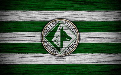 US Avellino 1912, Serie B, 4k, football, wooden texture, green white lines, Italian football club, logo, emblem, Avellino, Italy