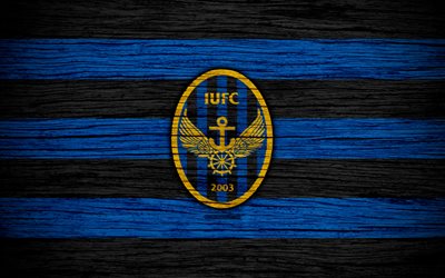 incheon united fc, 4k, k-league 1, s&#252;dkoreanische fu&#223;ball-club-logo aus holz textur, blau, schwarz, linien, wappen, incheon, s&#252;d-korea, fu&#223;ball