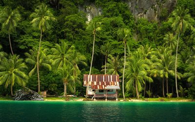 philippinen, paradies, tropen, h&#252;tte, meer, palmen, asien