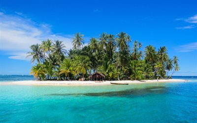 peque&#241;a isla tropical, palmeras, mar, verano, playa, viajar