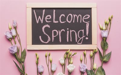 Welcome Spring, pink flowers, wooden board, eustoma, spring flowers, spring concepts